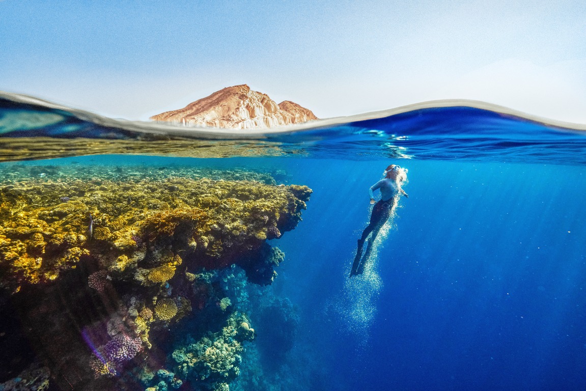Лучшие коралловые рифы в Шарм-эль-Шейхе